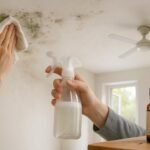 Moisissure au plafond : 5 méthodes naturelles pour la faire disparaître